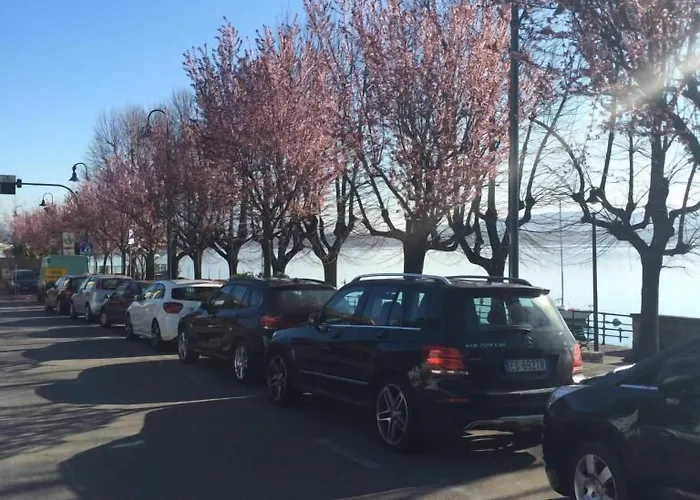 Atlantic 4* 아로나